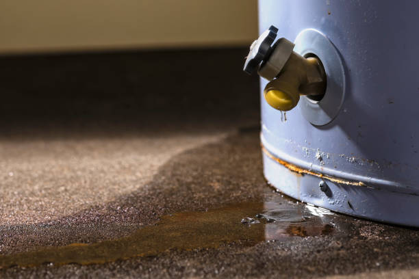 Best Water damage restoration near me  in Catlin, IL