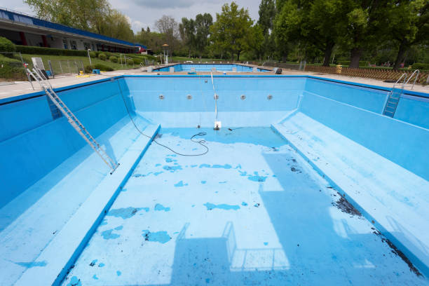Best Carpet water damage restoration  in Catlin, IL