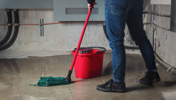Trusted Catlin, IL Water damage restoration Experts