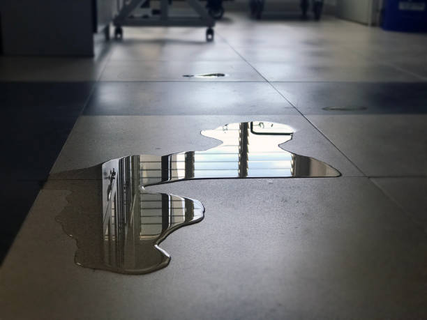 Sewage cleanup and water damage restoration in Catlin, IL