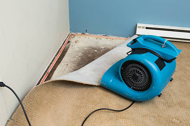 Best Commercial water damage restoration  in Catlin, IL